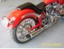 2002 Big Dog Motorcycles Bulldog for sale 201205043